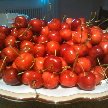 Borgo San Vito Ronchi Dei Legionari