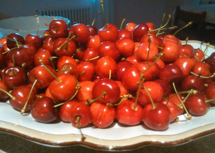 Borgo San Vito Ronchi Dei Legionari